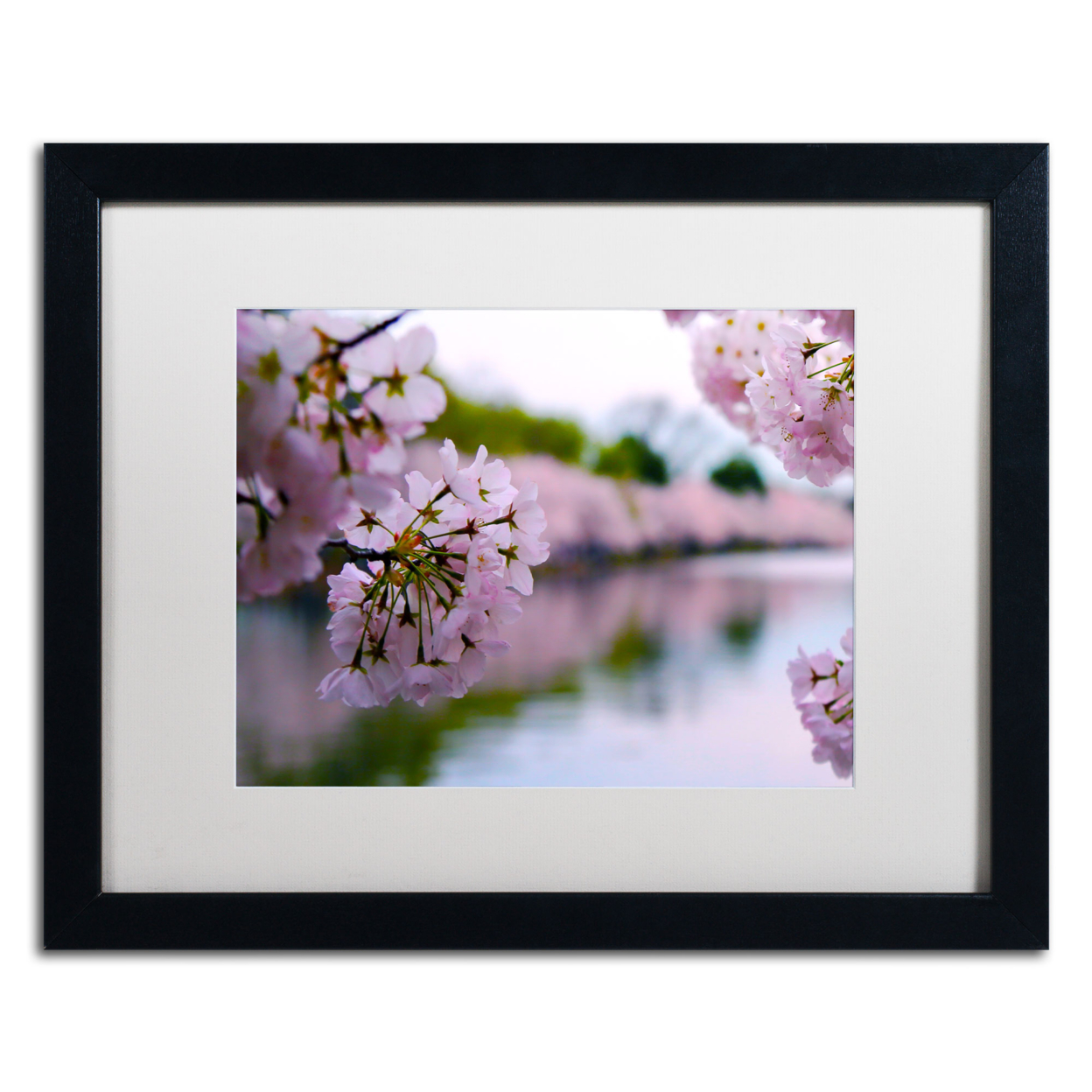 CATeyes 'Cherry Blossoms 2014-2' Black Wooden Framed Art 18 X 22 Inches
