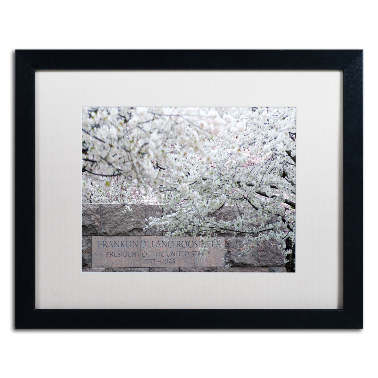 CATeyes 'Cherry Blossoms 2014-4' Black Wooden Framed Art 18 X 22 Inches