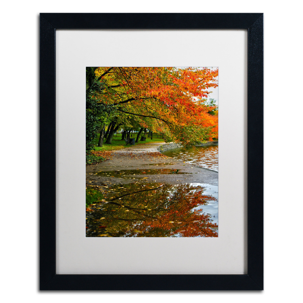 CATeyes 'Tidal Basin Autumn 1' Black Wooden Framed Art 18 X 22 Inches