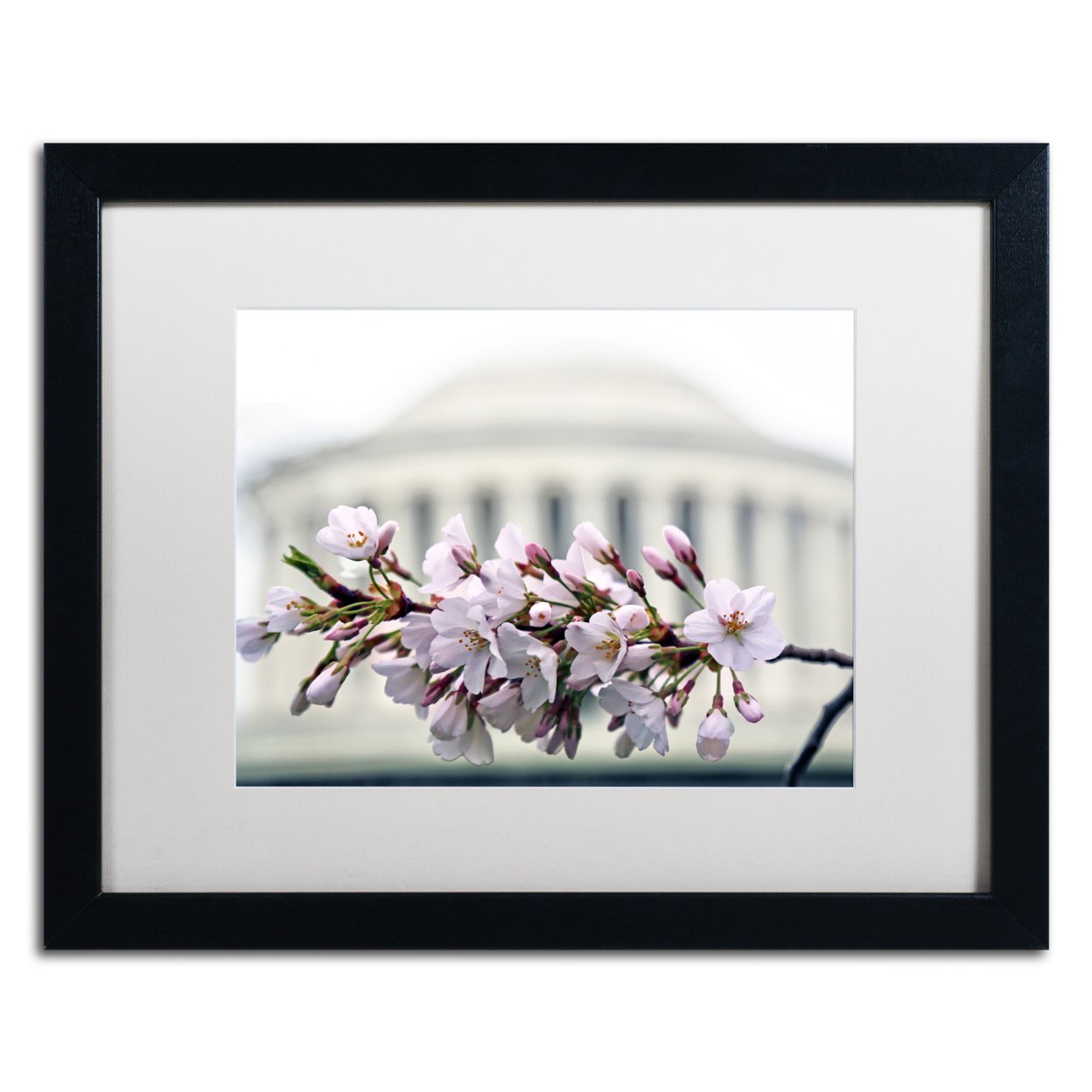 CATeyes 'Jefferson Memorial Blossoms' Black Wooden Framed Art 18 X 22 Inches