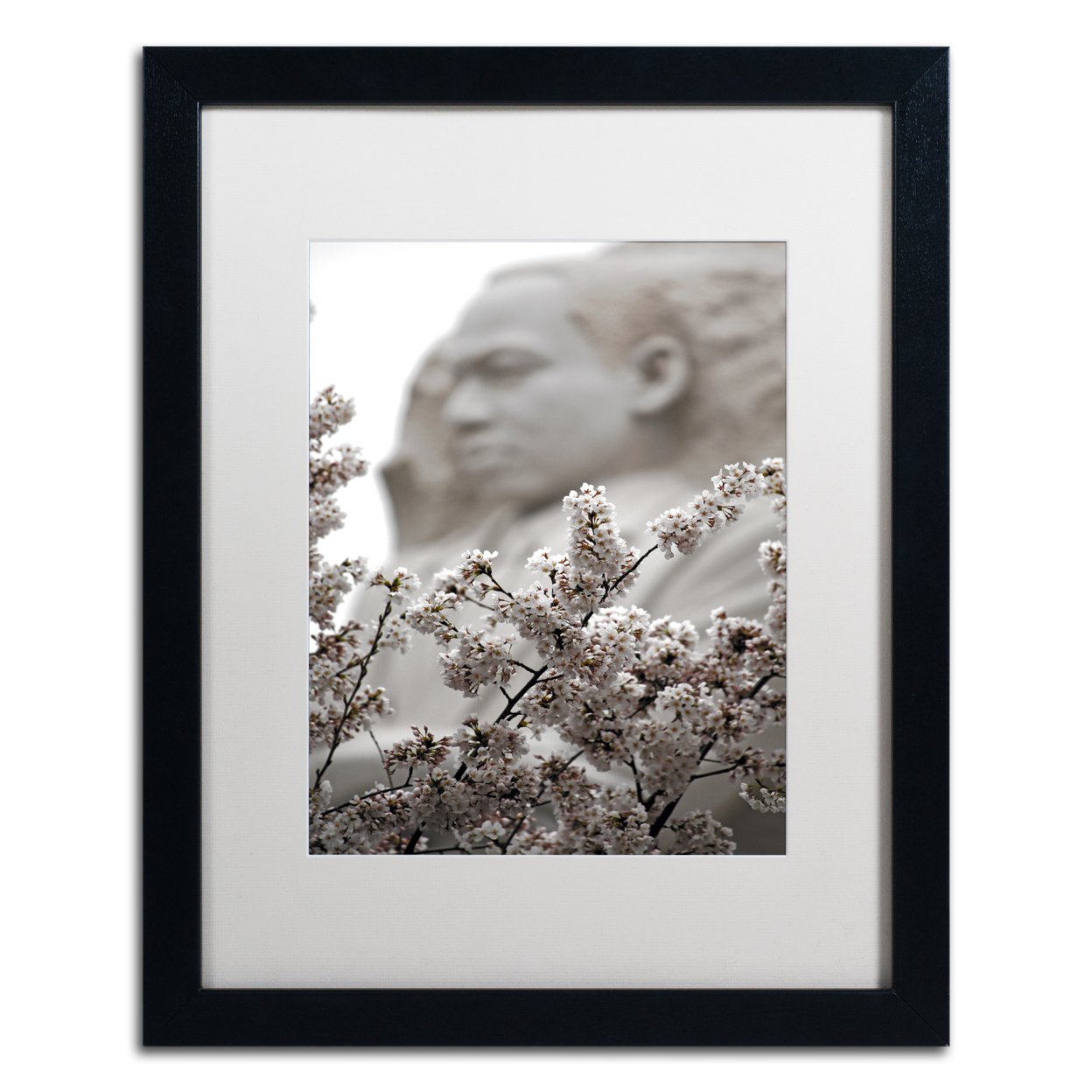 CATeyes 'MLK Blossoms' Black Wooden Framed Art 18 X 22 Inches