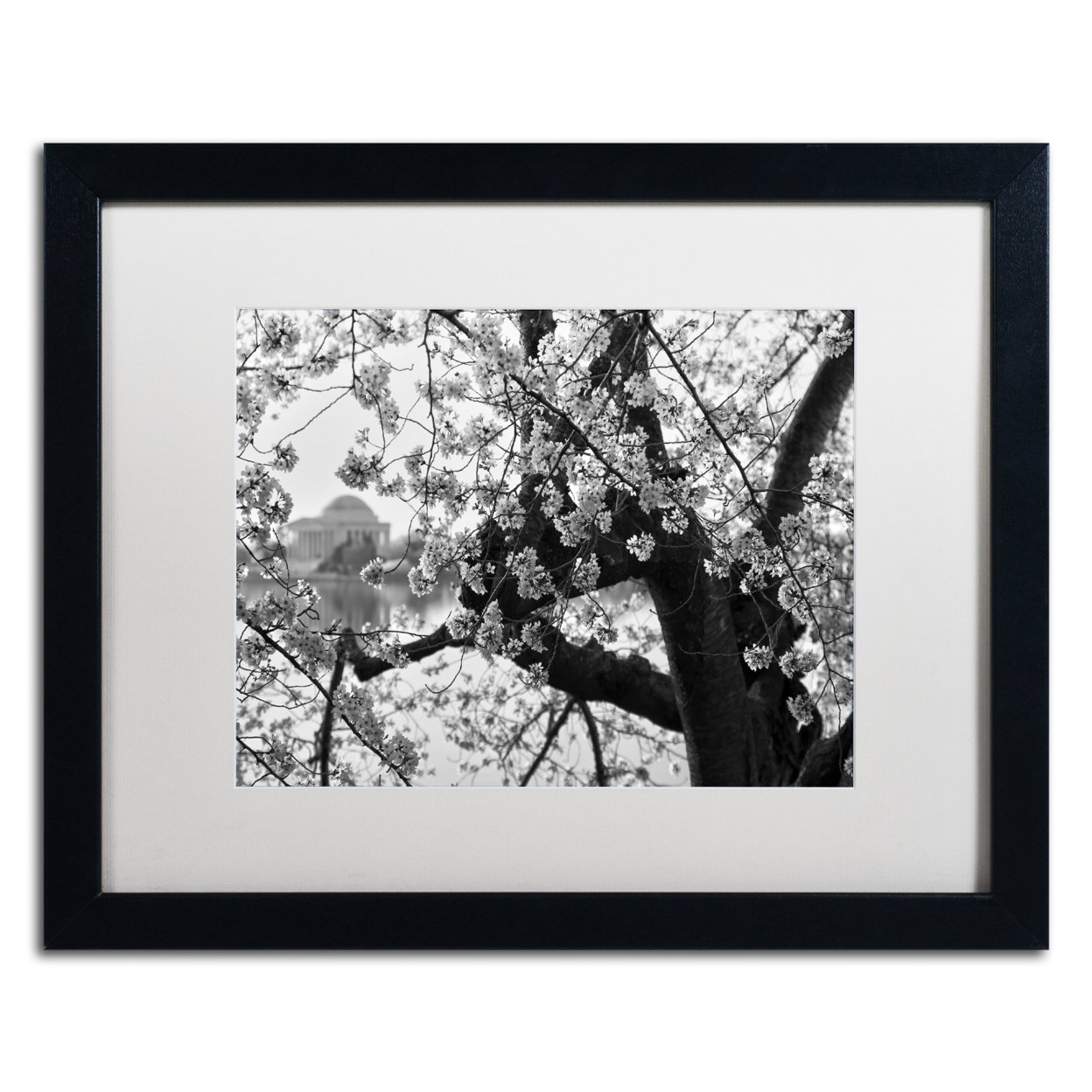CATeyes 'Blossoms BW' Black Wooden Framed Art 18 X 22 Inches