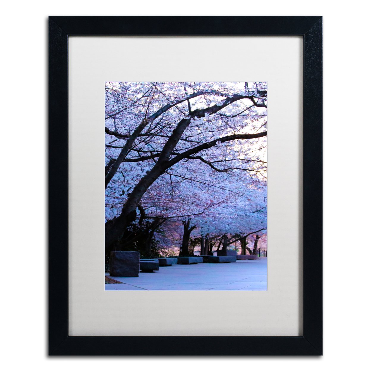 CATeyes 'Cherry Blossom Shade' Black Wooden Framed Art 18 X 22 Inches