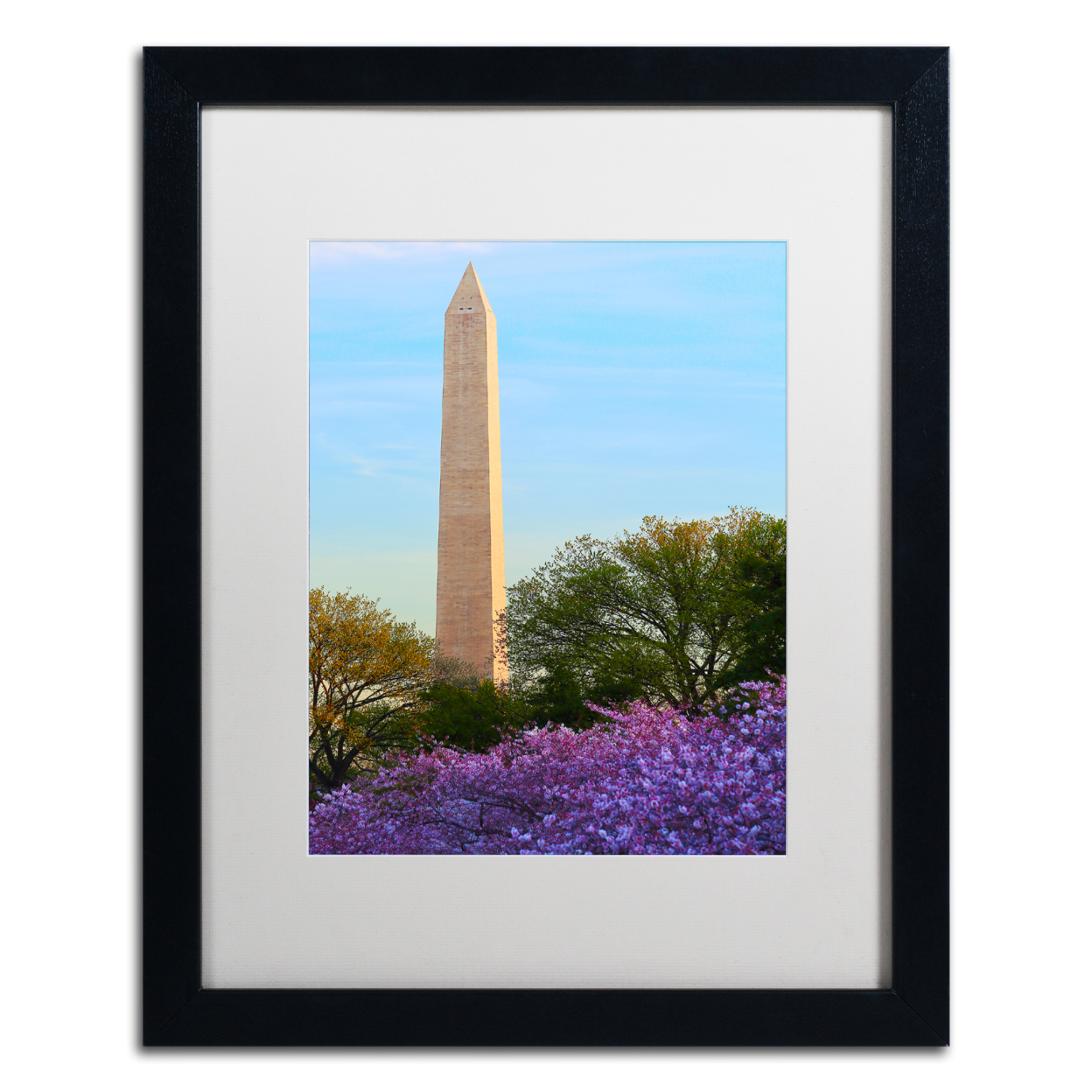 CATeyes 'Washington Monument Spring' Black Wooden Framed Art 18 X 22 Inches