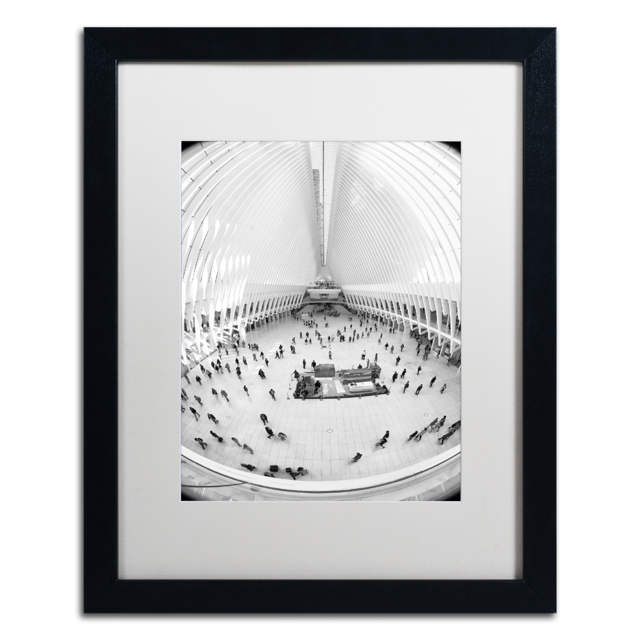 CATeyes 'Oculus WTC' Black Wooden Framed Art 18 X 22 Inches