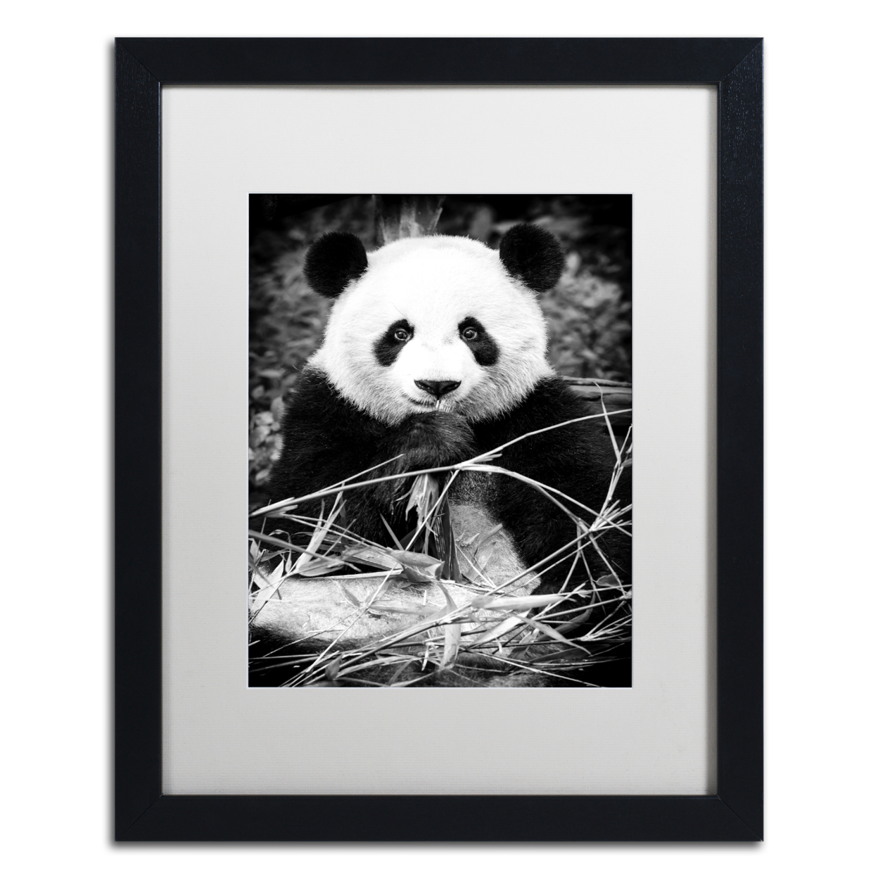 Philippe Hugonnard 'Panda' Black Wooden Framed Art 18 X 22 Inches