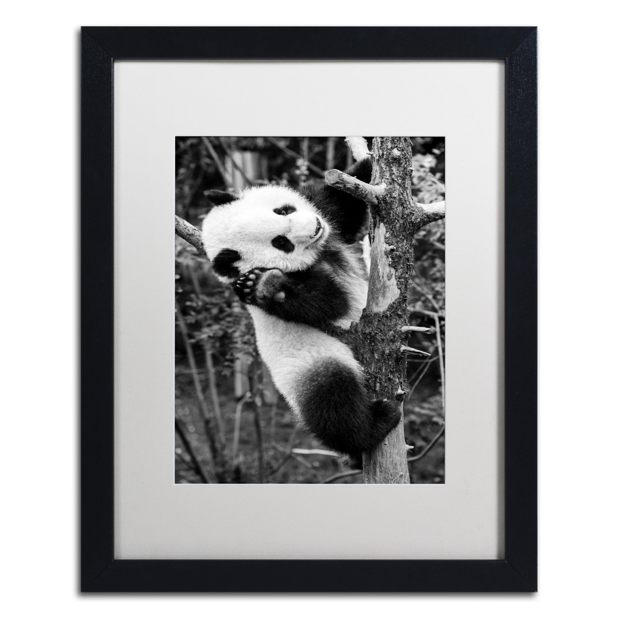 Philippe Hugonnard 'Panda II' Black Wooden Framed Art 18 X 22 Inches