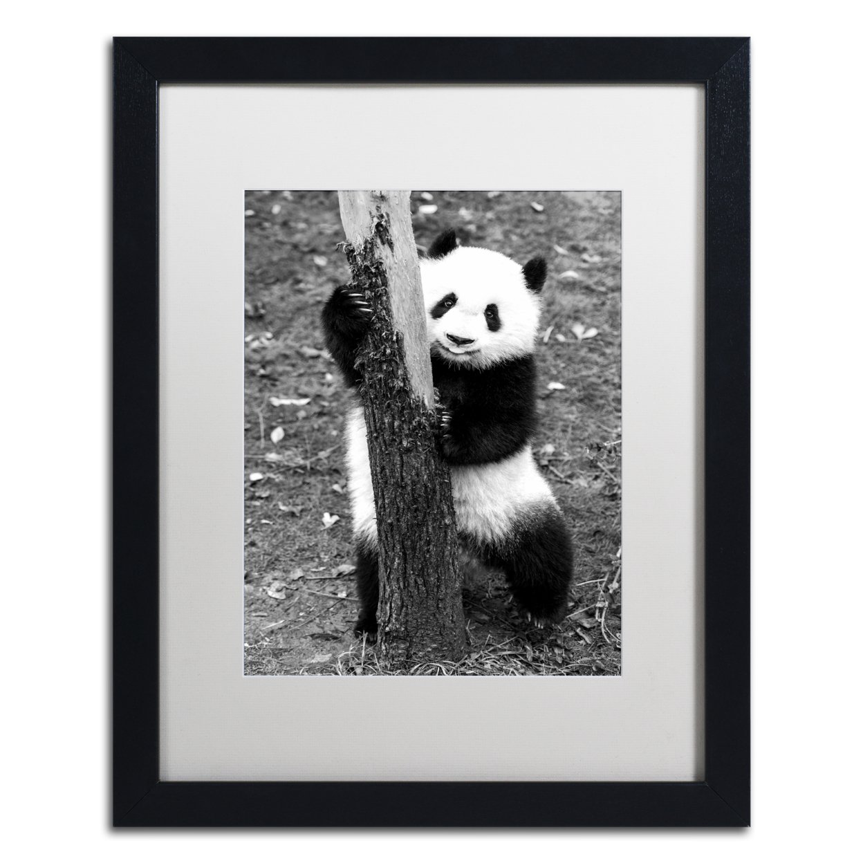 Philippe Hugonnard 'Panda III' Black Wooden Framed Art 18 X 22 Inches