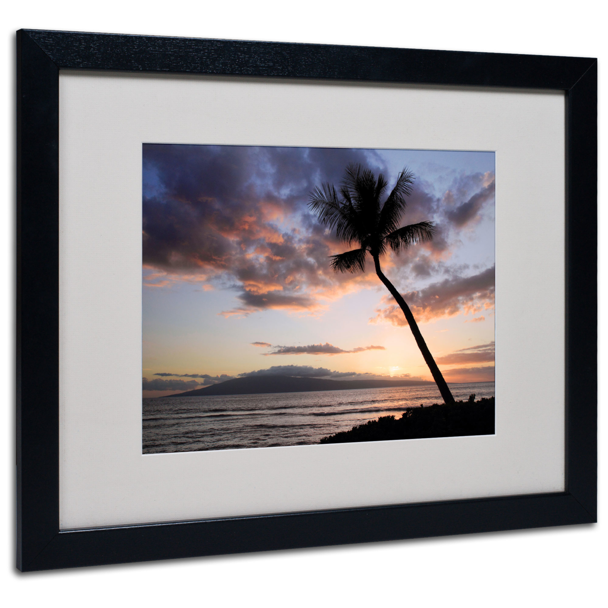 Pierre Leclerc 'Palm Tree Maui' Black Wooden Framed Art 18 X 22 Inches