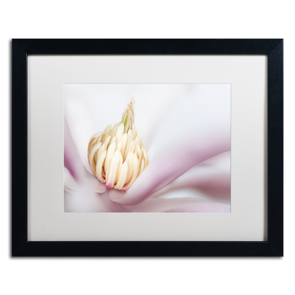 Pierre Leclerc 'Soft Magnolia' Black Wooden Framed Art 18 X 22 Inches