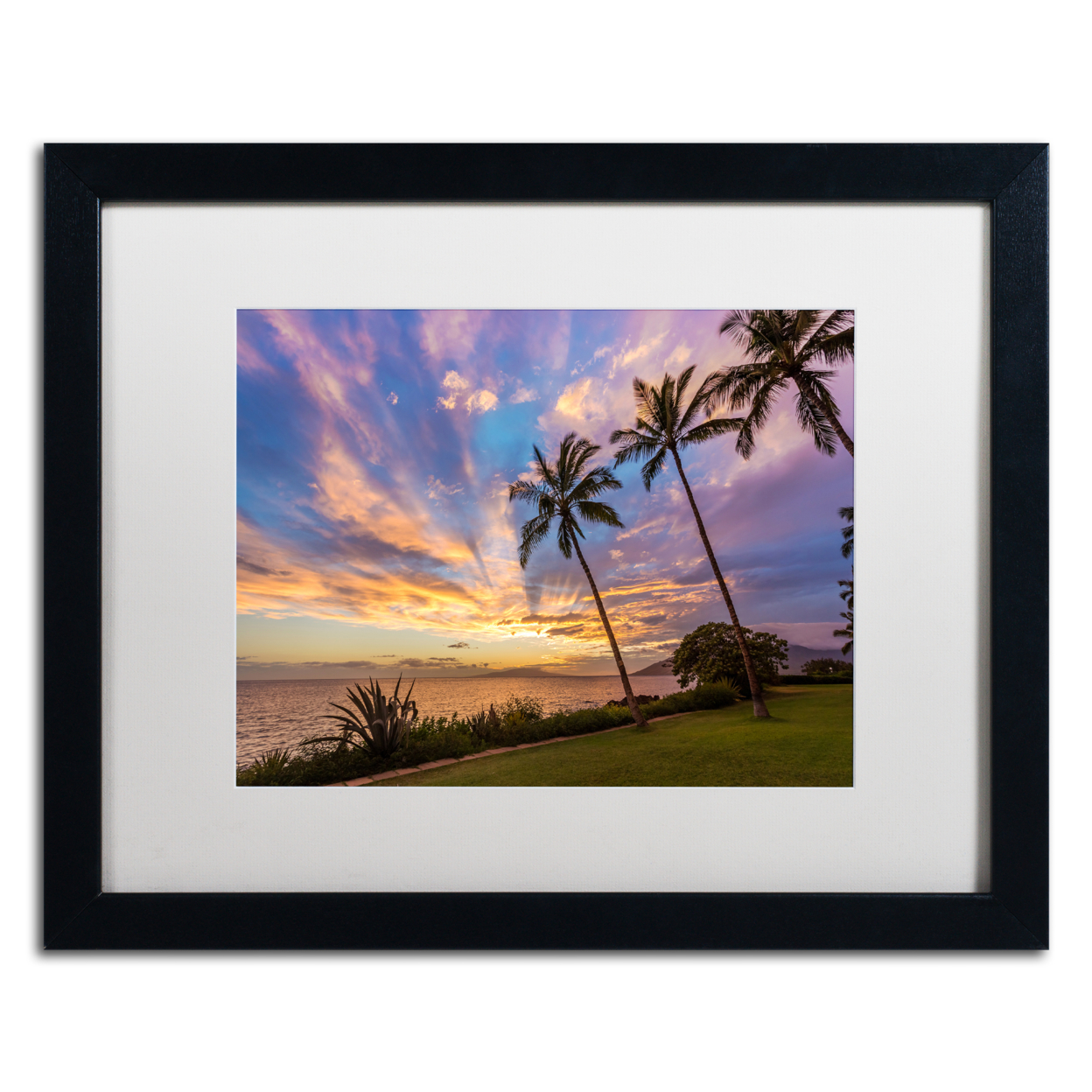 Pierre Leclerc 'Magical Hawaiian Sky' Black Wooden Framed Art 18 X 22 Inches