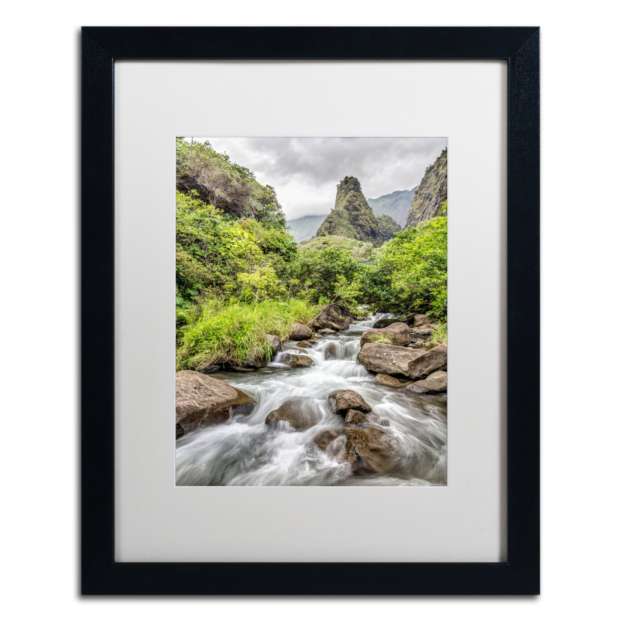 Pierre Leclerc 'Iao Valley Maui' Black Wooden Framed Art 18 X 22 Inches