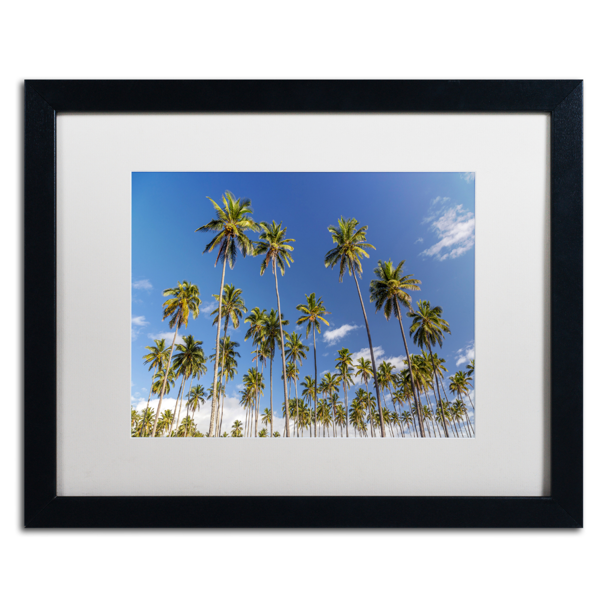 Pierre Leclerc 'Coconut Grove' Black Wooden Framed Art 18 X 22 Inches