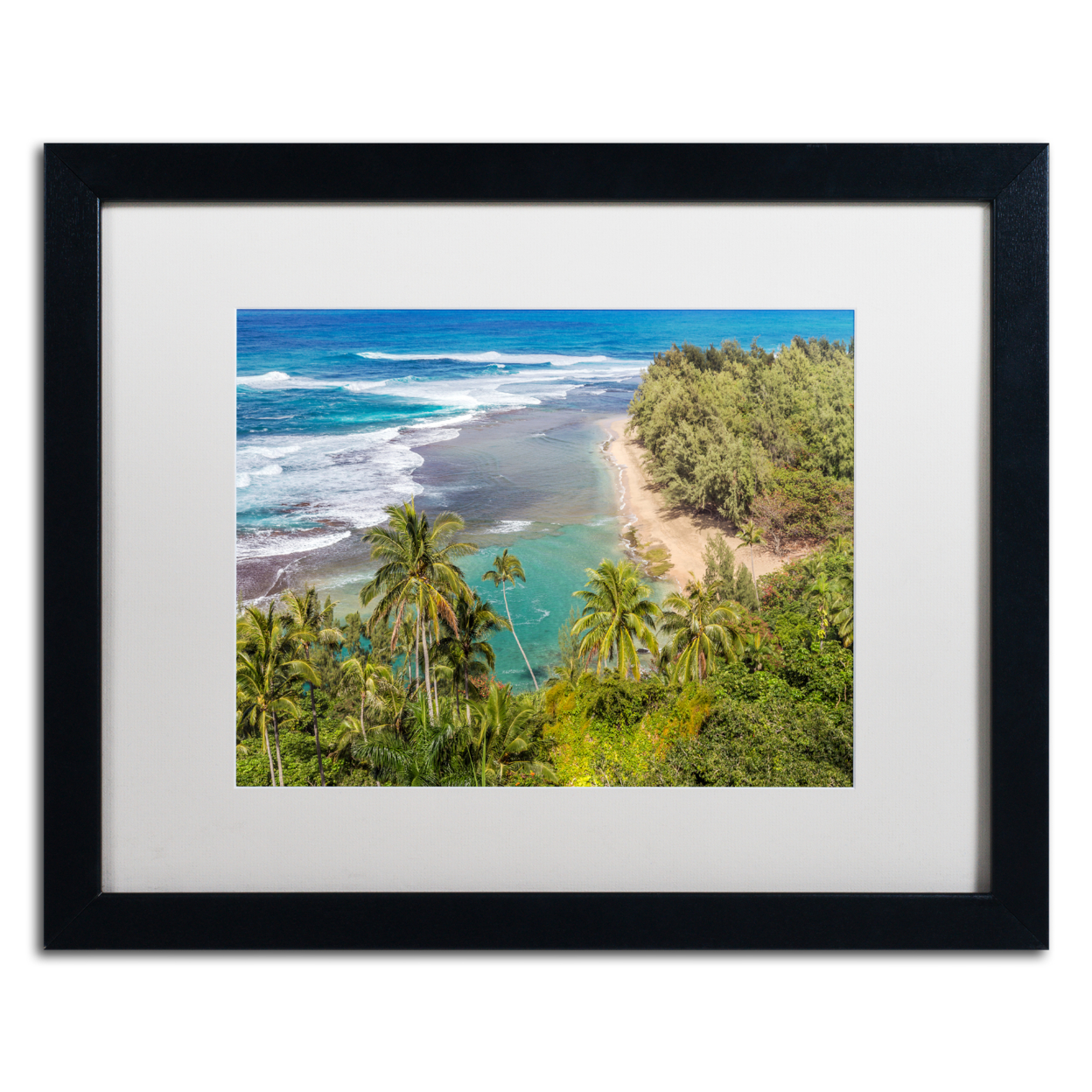 Pierre Leclerc 'Tropical Paradise' Black Wooden Framed Art 18 X 22 Inches