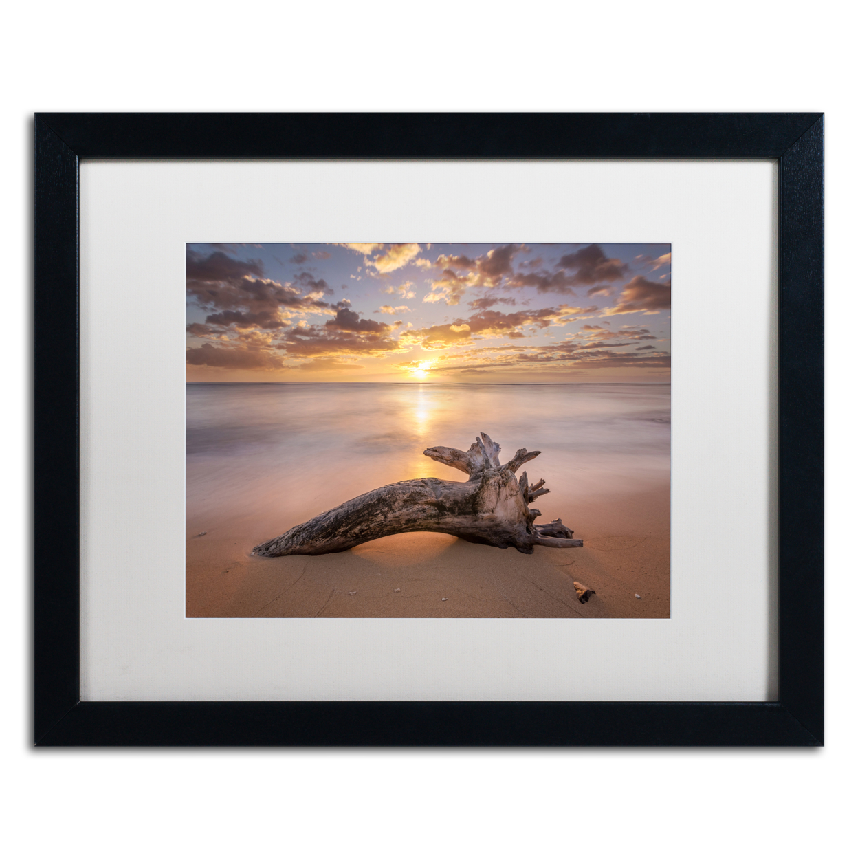 Pierre Leclerc 'Beach Tree Sunrise' Black Wooden Framed Art 18 X 22 Inches