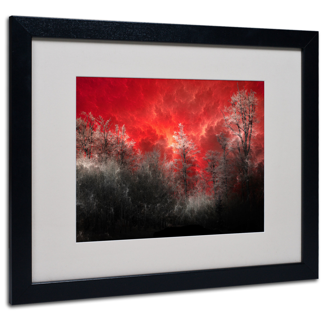 Philippe Sainte-Laudy 'Hot And Cold' Black Wooden Framed Art 18 X 22 Inches