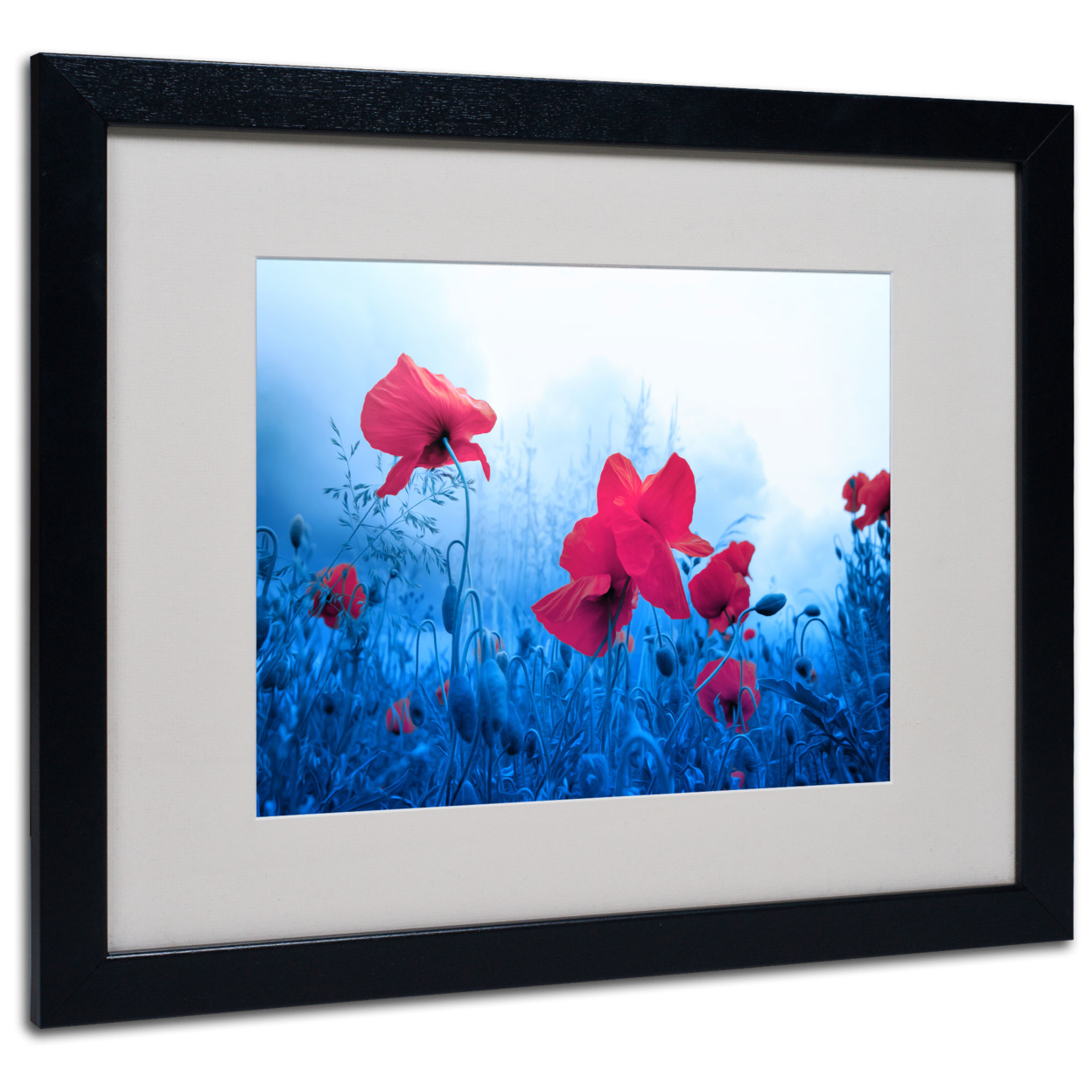 Philippe Sainte-Laudy 'Jam For Poppies' Black Wooden Framed Art 18 X 22 Inches