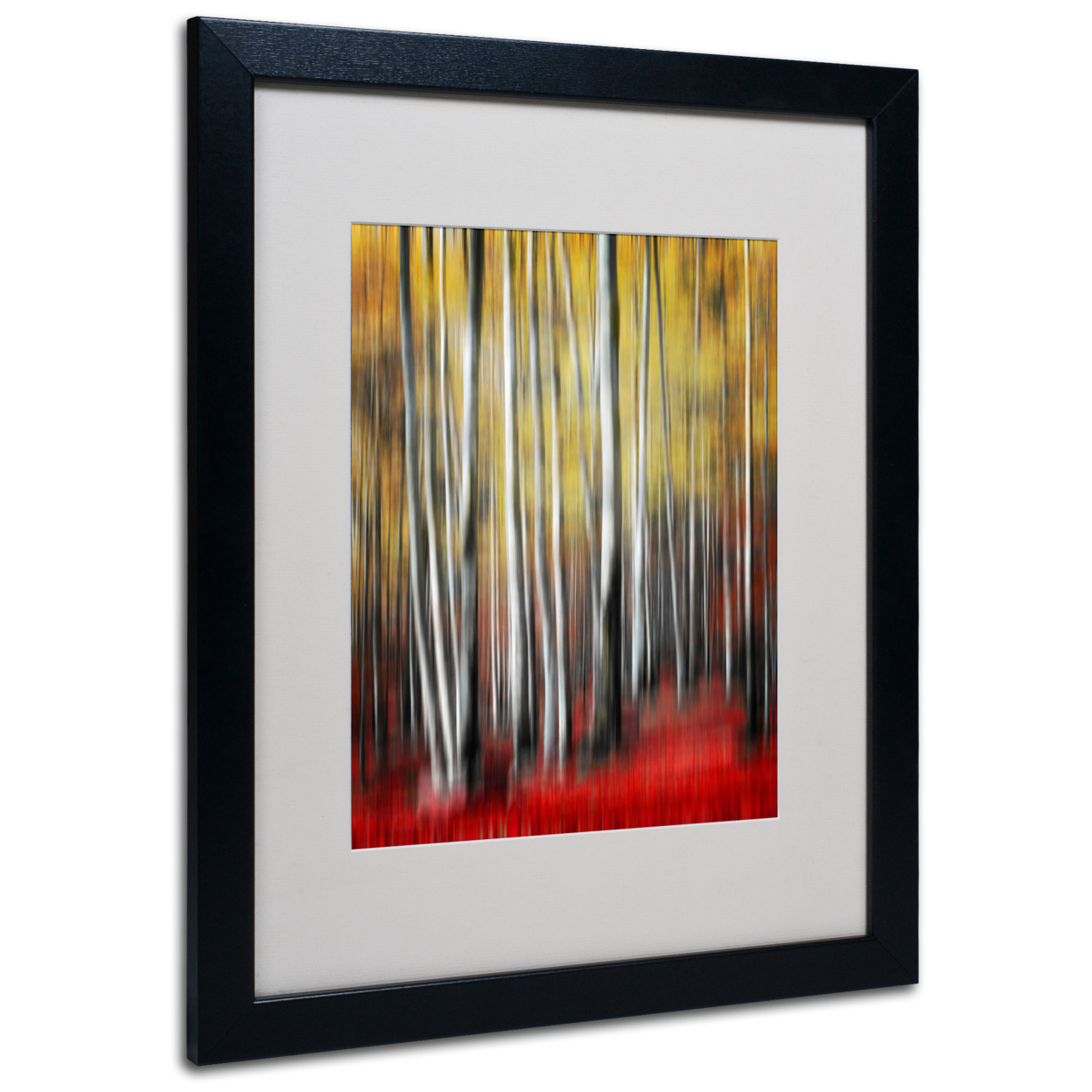 Philippe Sainte-Laudy 'Osmosis' Black Wooden Framed Art 18 X 22 Inches