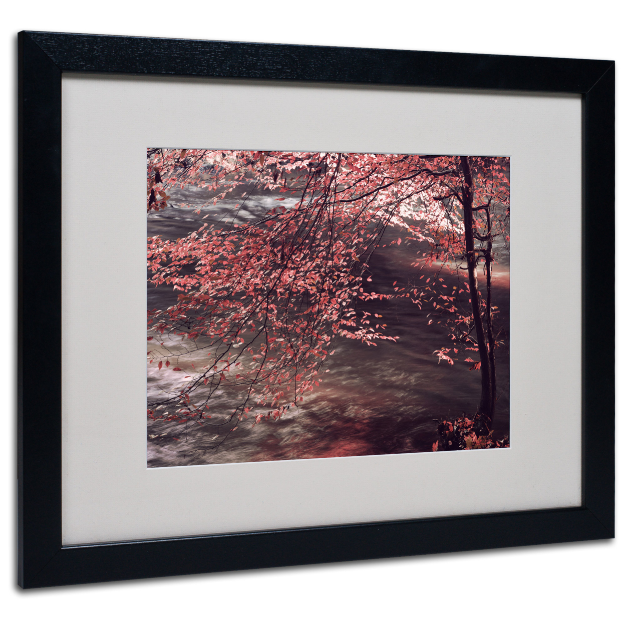 Philippe Sainte-Laudy 'Autumn Serenade' Black Wooden Framed Art 18 X 22 Inches