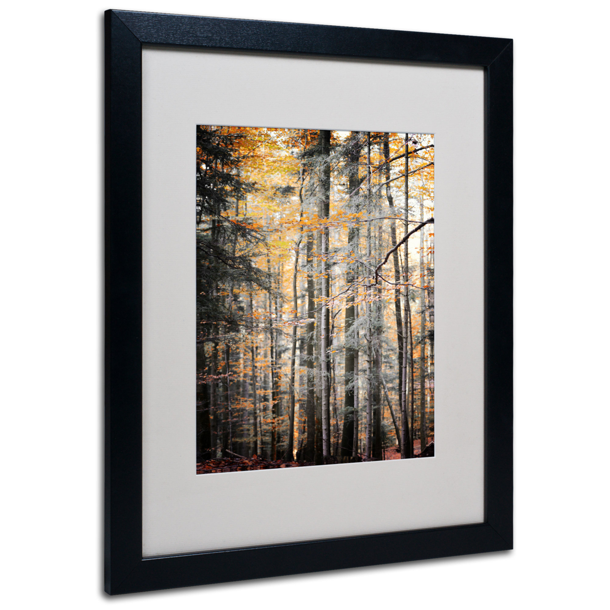 Philippe Sainte-Laudy 'Autumn Tones' Black Wooden Framed Art 18 X 22 Inches