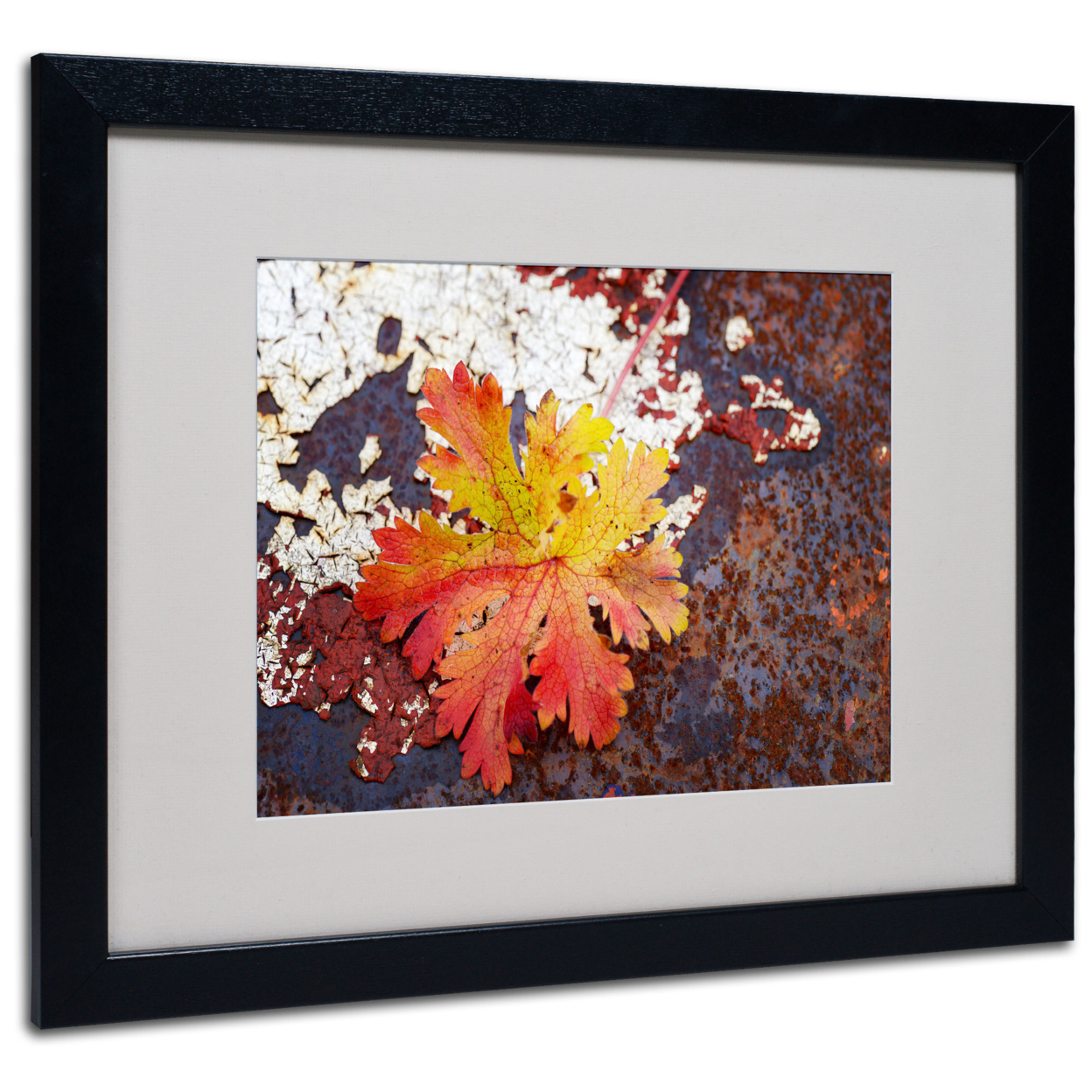 Philippe Sainte-Laudy 'Autumn Rust' Black Wooden Framed Art 18 X 22 Inches