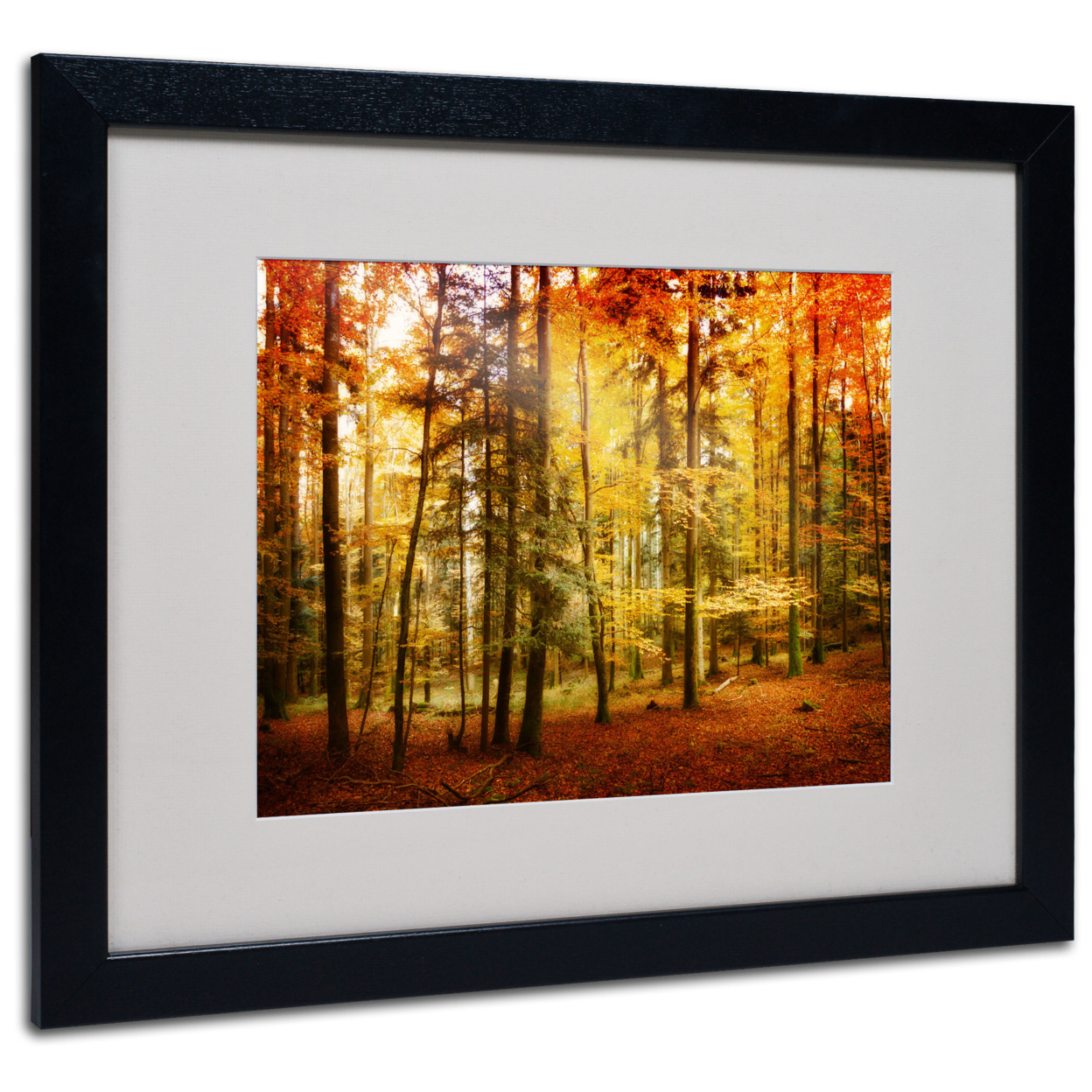 Philippe Sainte-Laudy 'Fall Color' Black Wooden Framed Art 18 X 22 Inches