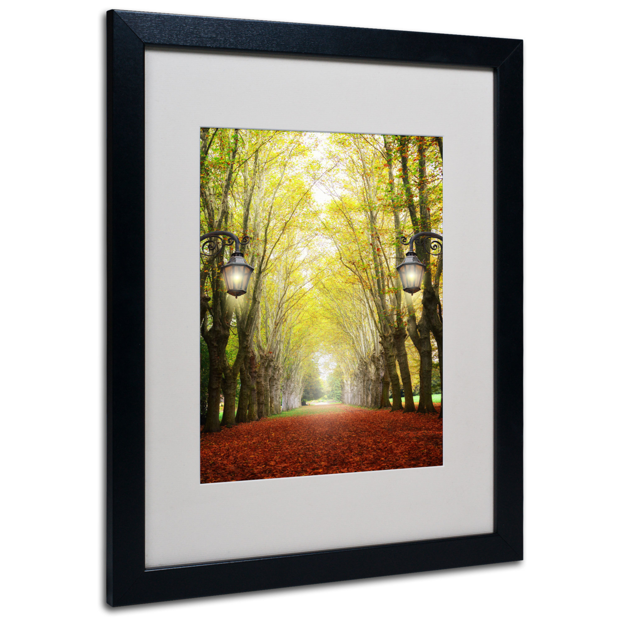 Philippe Sainte-Laudy 'Plane Tree Alley' Black Wooden Framed Art 18 X 22 Inches