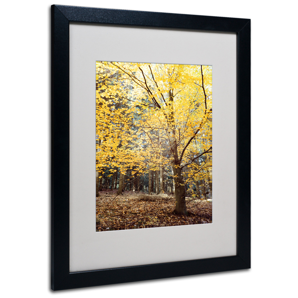 Philippe Sainte-Laudy 'Yellow Fall' Black Wooden Framed Art 18 X 22 Inches