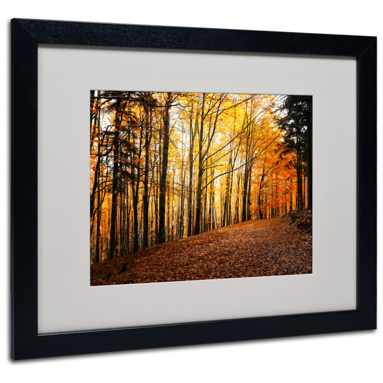 Philippe Sainte-Laudy 'Autumn Leaves' Black Wooden Framed Art 18 X 22 Inches