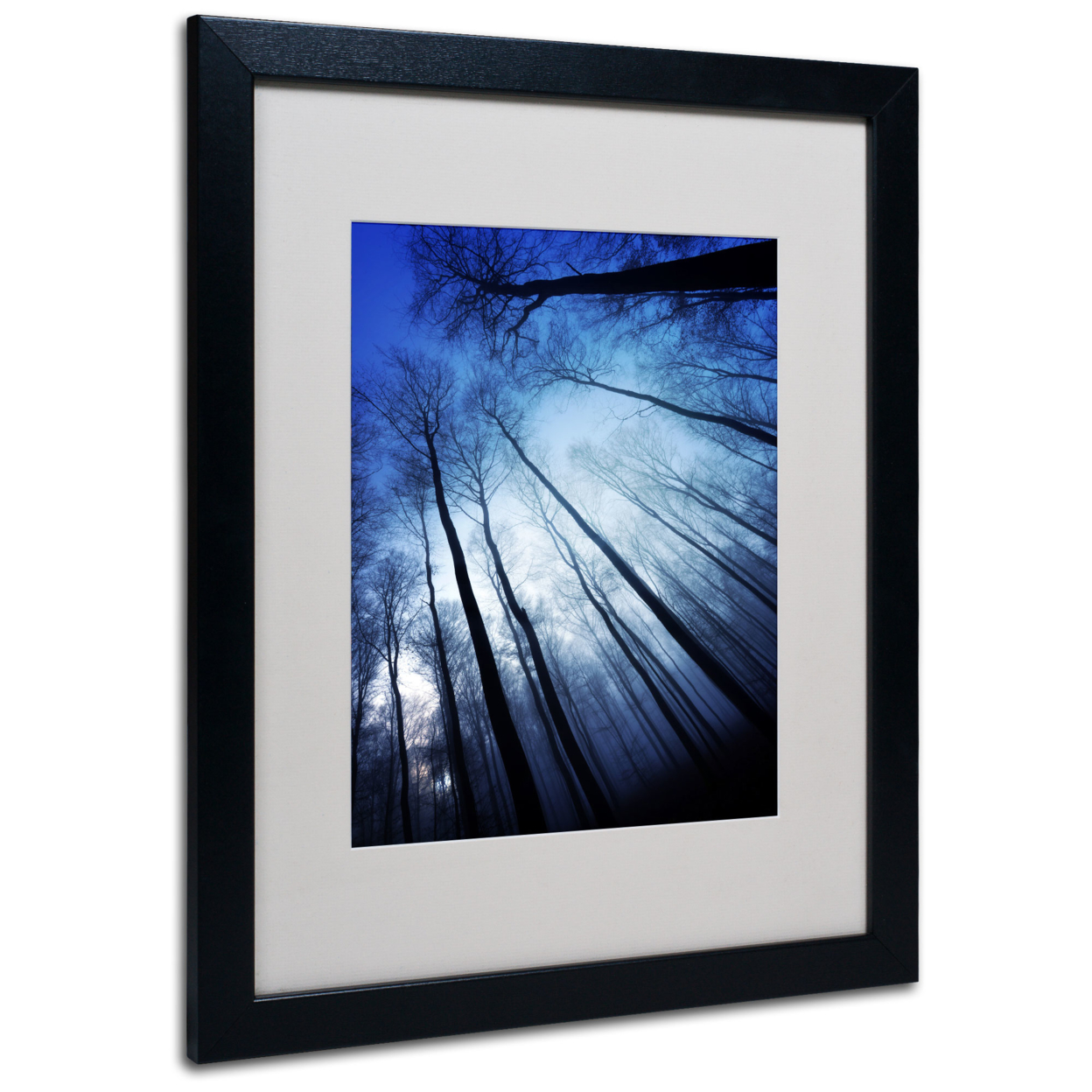Philippe Sainte-Laudy 'Blue Forest' Black Wooden Framed Art 18 X 22 Inches