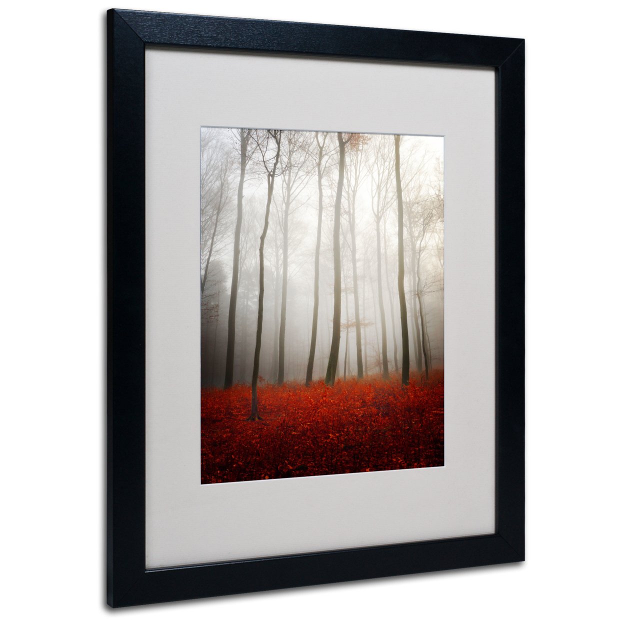Philippe Sainte-Laudy 'Leafless' Black Wooden Framed Art 18 X 22 Inches