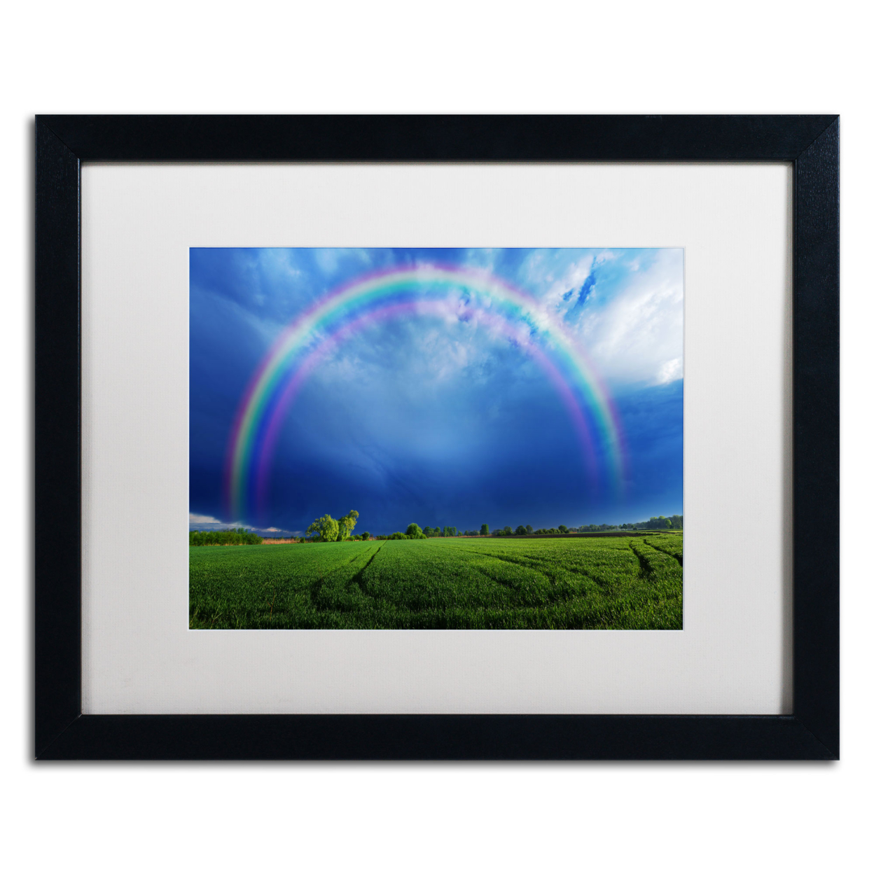 Philippe Sainte-Laudy 'Lucky Rainbow' Black Wooden Framed Art 18 X 22 Inches