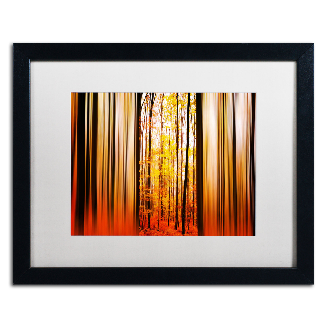Philippe Sainte-Laudy 'Excited Oxygen' Black Wooden Framed Art 18 X 22 Inches