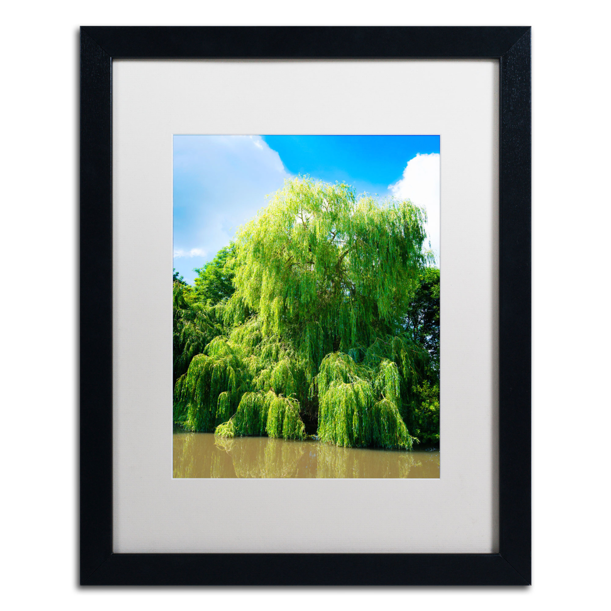 Philippe Sainte-Laudy 'Weeping Willow' Black Wooden Framed Art 18 X 22 Inches