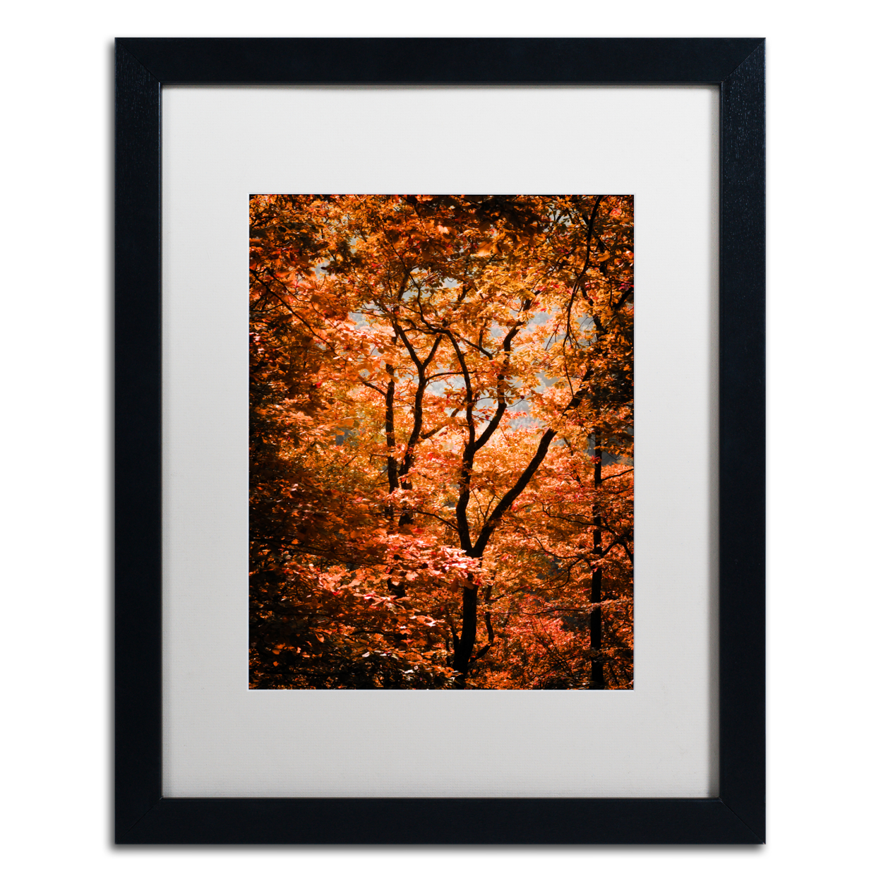 Philippe Sainte-Laudy 'Autumn Whispers' Black Wooden Framed Art 18 X 22 Inches