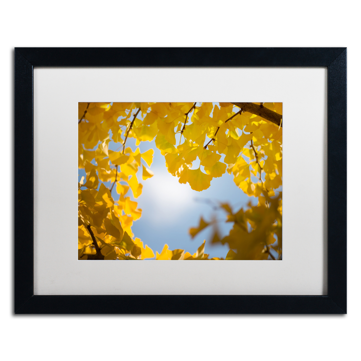 Philippe Sainte-Laudy 'Ginkgo Leaves In Autumn' Black Wooden Framed Art 18 X 22 Inches