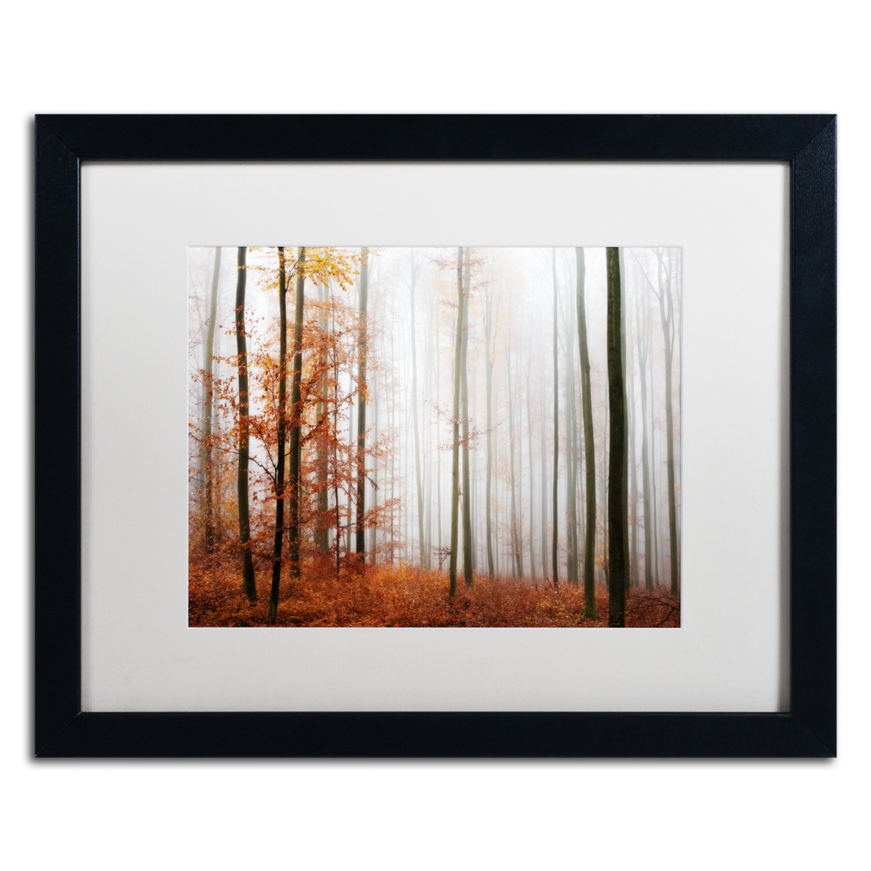 Philippe Sainte-Laudy 'Forest Corner' Black Wooden Framed Art 18 X 22 Inches