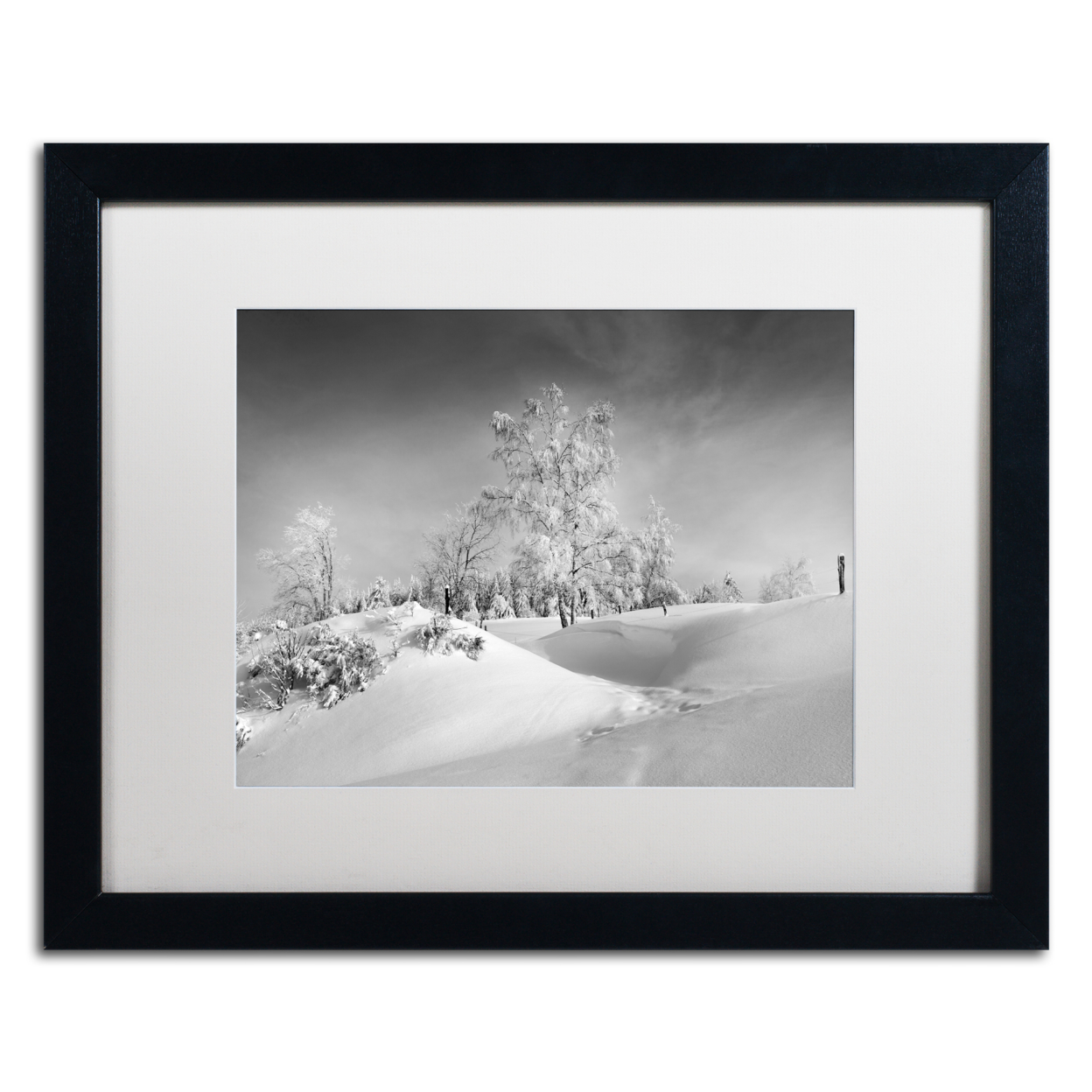 Philippe Sainte-Laudy 'Dressed For Winter B&W' Black Wooden Framed Art 18 X 22 Inches