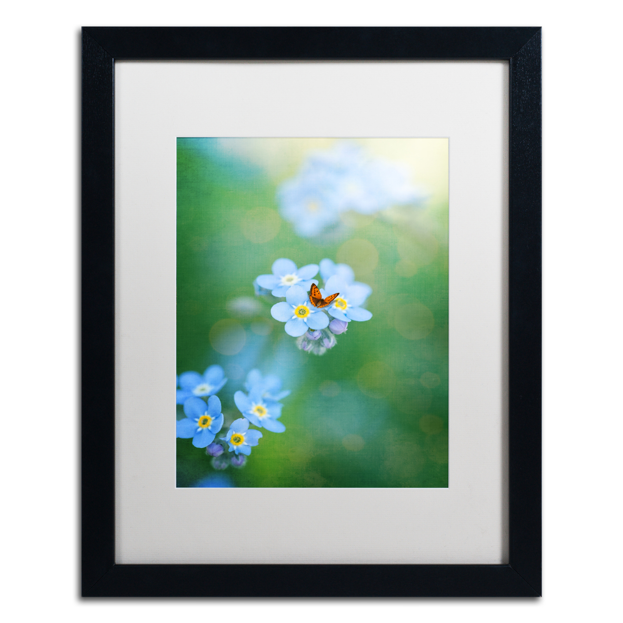 Philippe Sainte-Laudy 'Forget-Me-Not' Black Wooden Framed Art 18 X 22 Inches