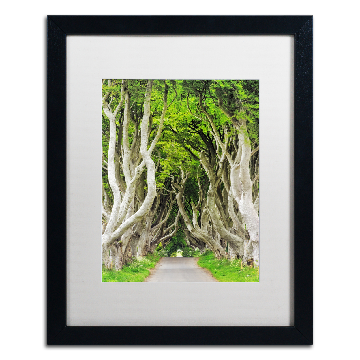 Philippe Sainte-Laudy 'The Dark Hedges' Black Wooden Framed Art 18 X 22 Inches