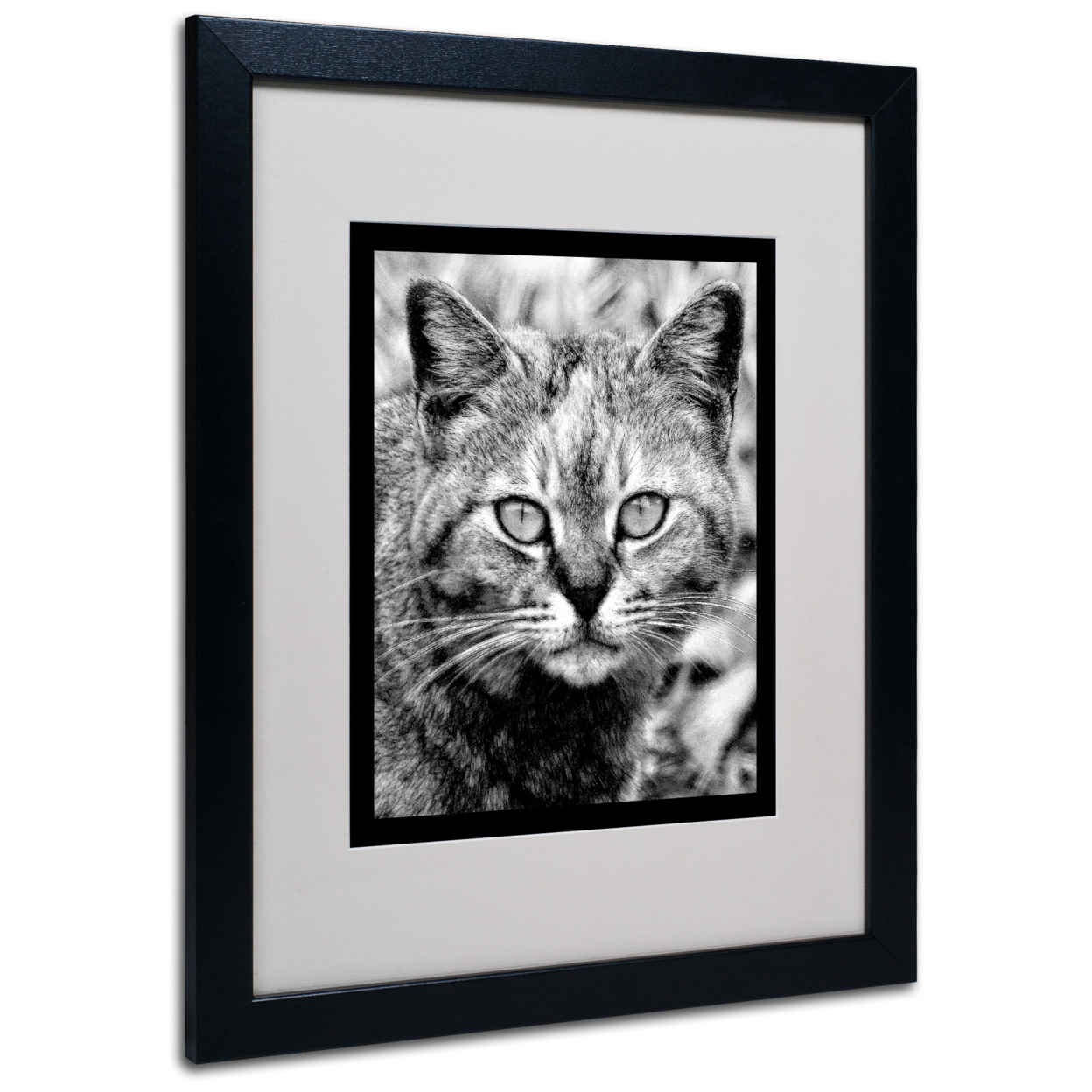 Patty Tuggle 'Black & White Pretty Kitty' Black Wooden Framed Art 18 X 22 Inches