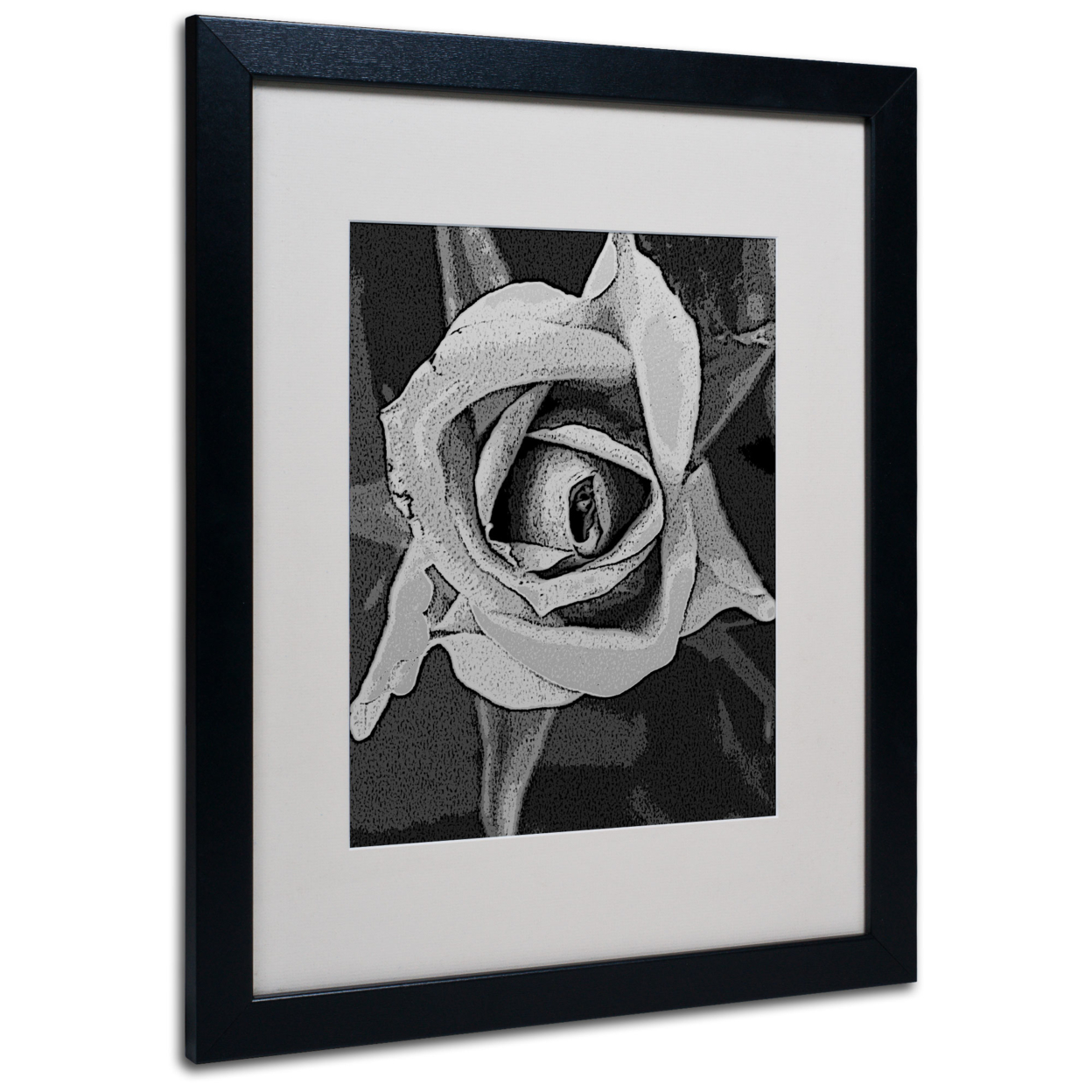 Patty Tuggle 'Black & White Rose' Black Wooden Framed Art 18 X 22 Inches