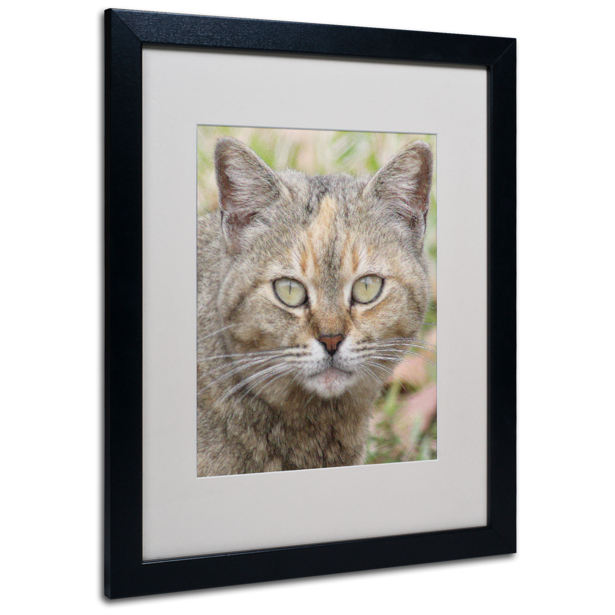 Patty Tuggle 'Pretty Kitty' Black Wooden Framed Art 18 X 22 Inches