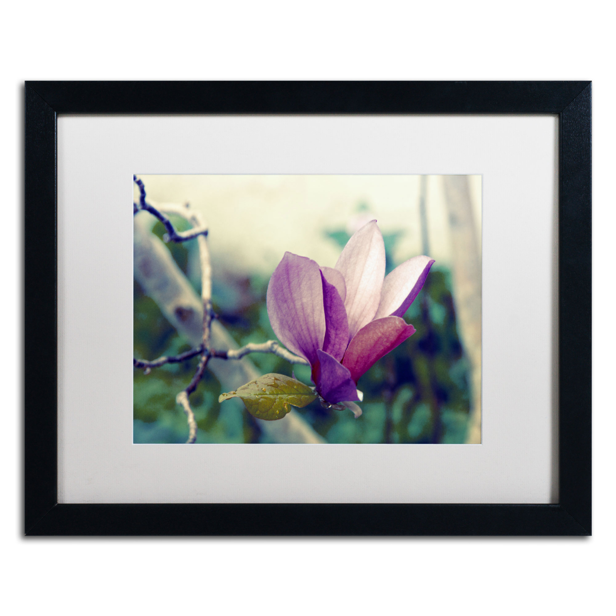Patty Tuggle 'Pink Magnolia' Black Wooden Framed Art 18 X 22 Inches