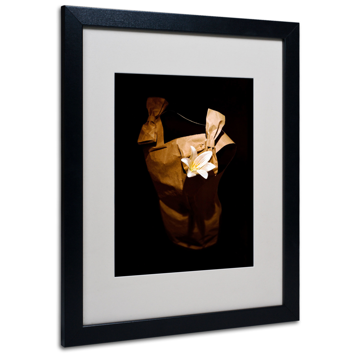 Roderick Stevens 'White Flower' Black Wooden Framed Art 18 X 22 Inches