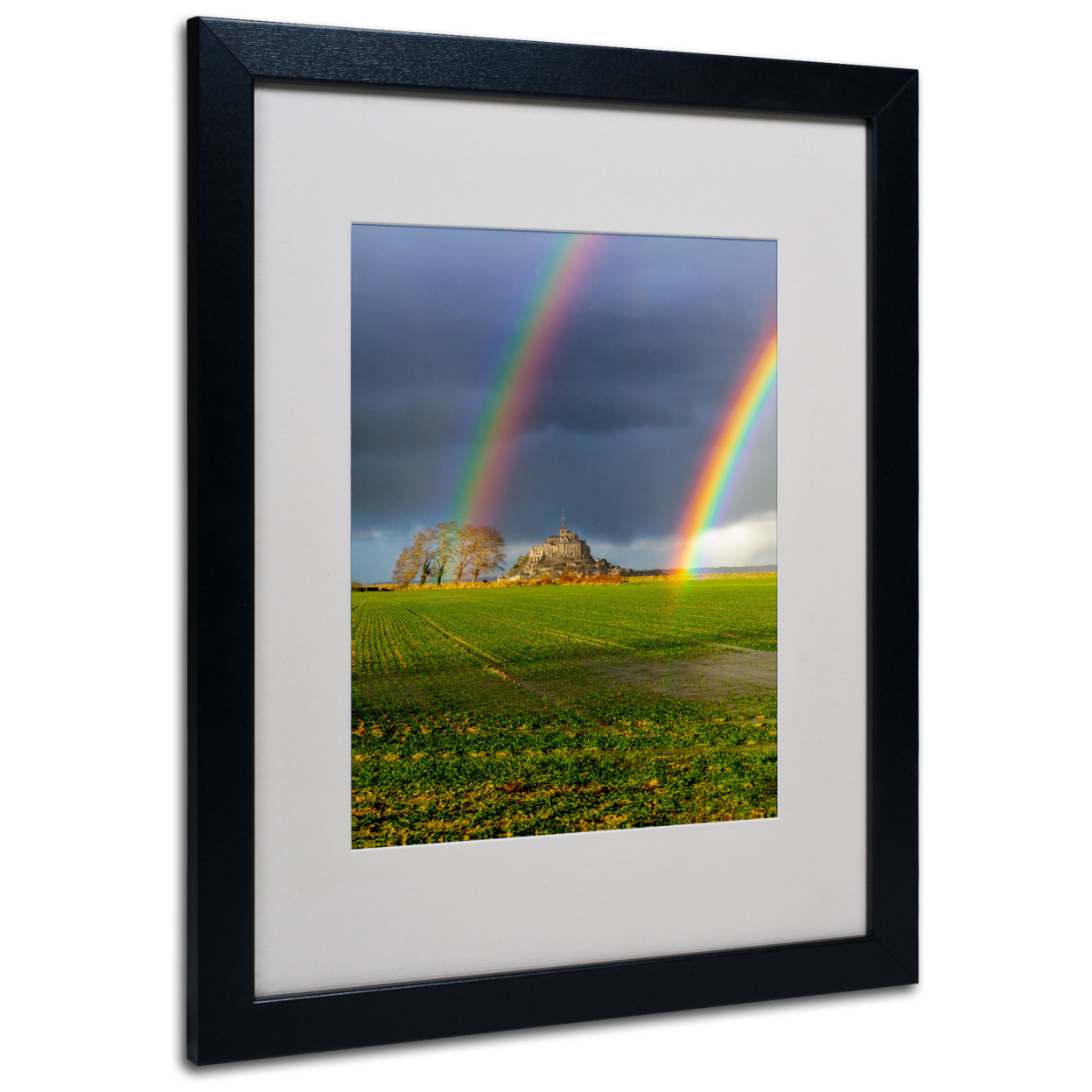 Mathieu Rivrin 'Double Rainbow' Black Wooden Framed Art 18 X 22 Inches