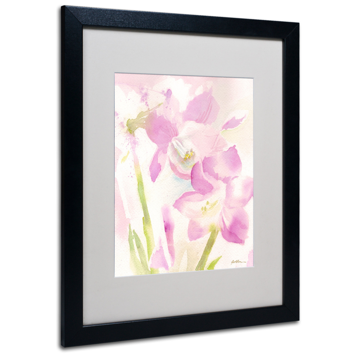 Sheila Golden 'Amaryllis Blossoming' Black Wooden Framed Art 18 X 22 Inches