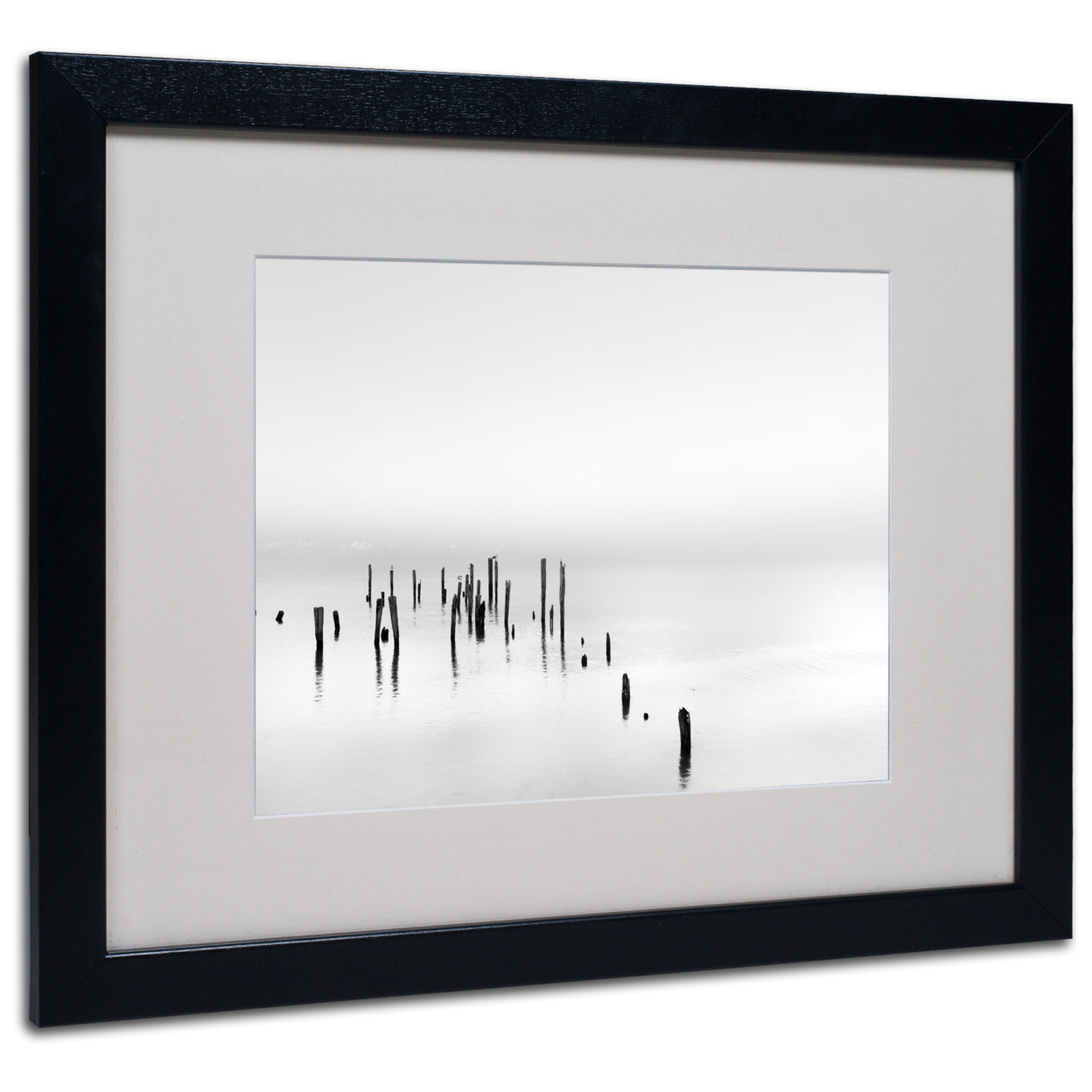 Geoffrey Ansel Agrons 'Four Gulls' Black Wooden Framed Art 18 X 22 Inches