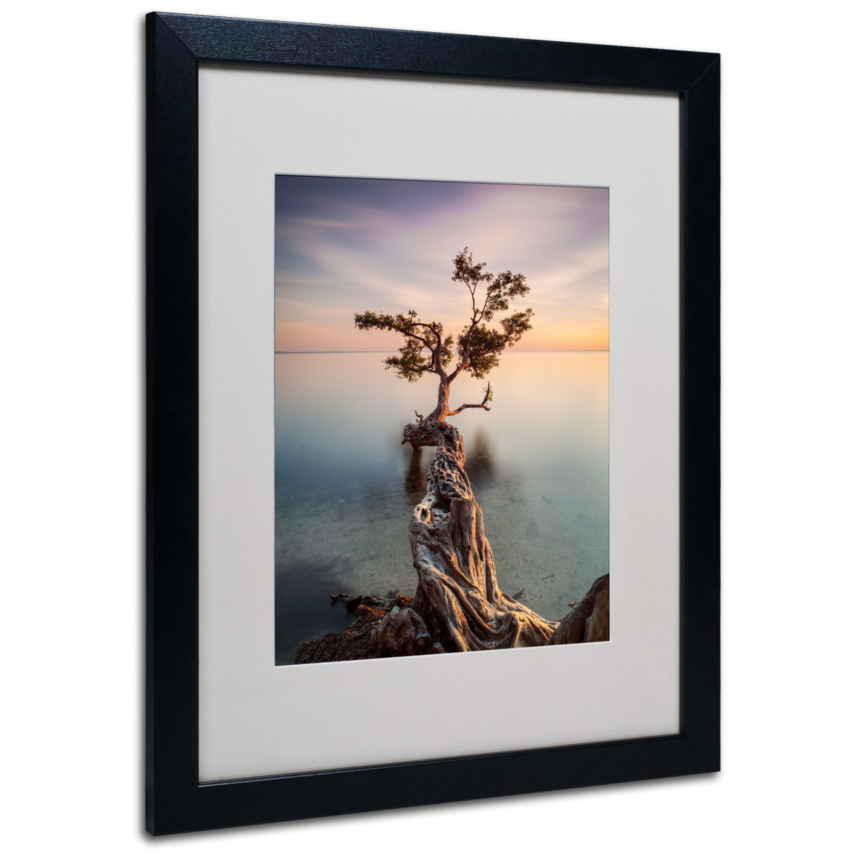Moises Levy 'Water Tree III' Black Wooden Framed Art 18 X 22 Inches
