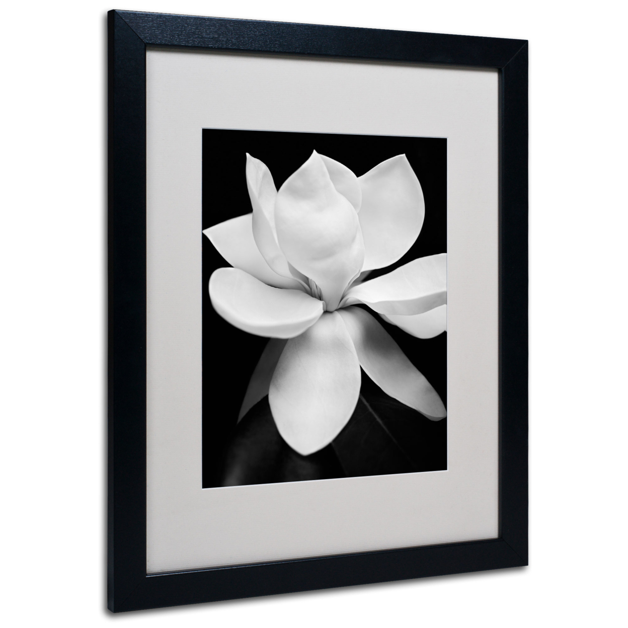 Michael Harrison 'Magnolia' Black Wooden Framed Art 18 X 22 Inches